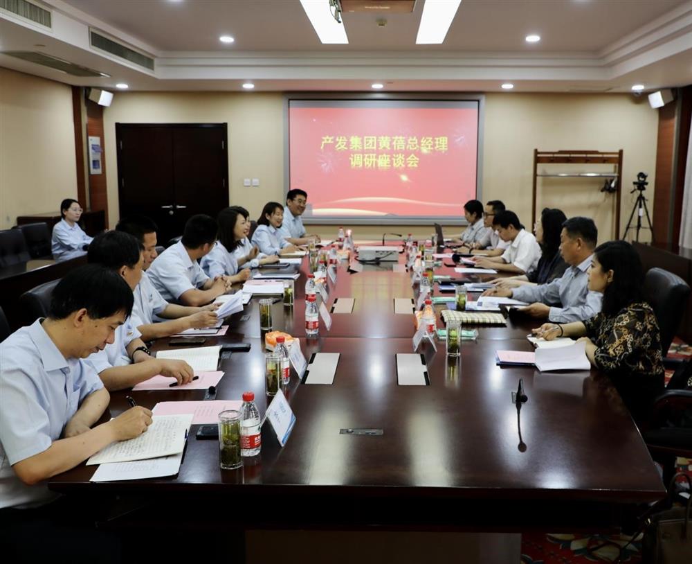 集團黨委副書記、總經(jīng)理黃蓓帶隊調(diào)研濟南市工程咨詢院