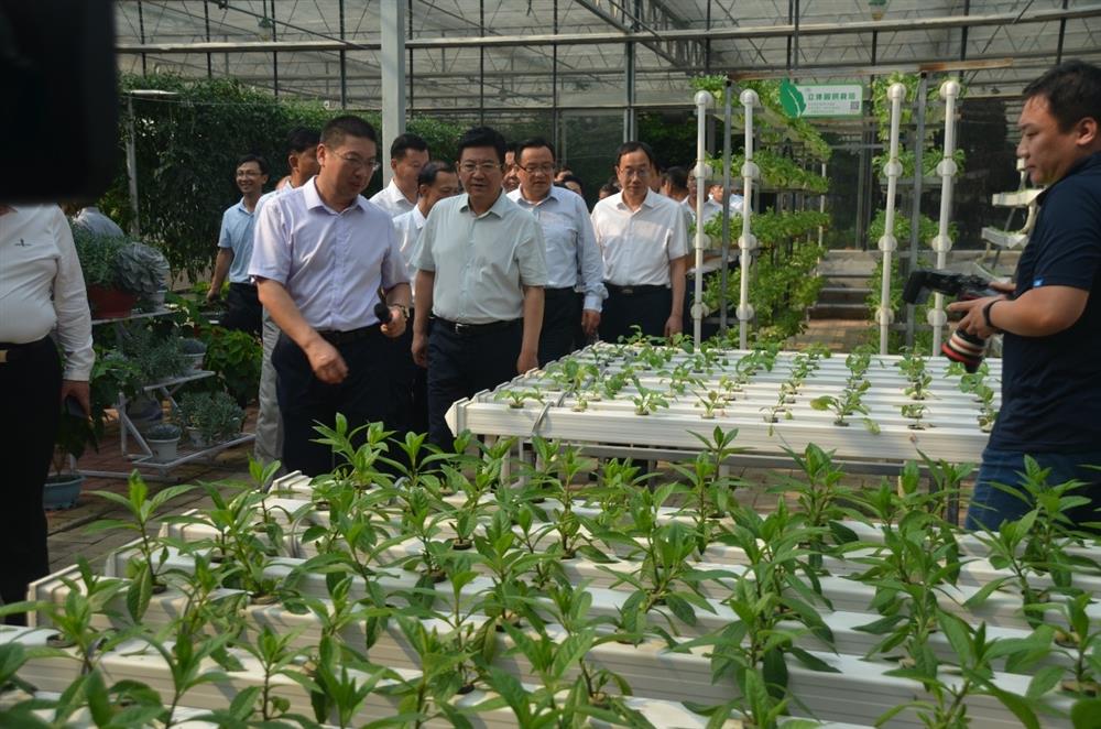 科技助農(nóng)，播撒光的種子  精準(zhǔn)扶貧，助力鄉(xiāng)村振興